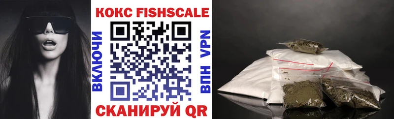 Купить закладки  Агрыз  Кокаин Fish Scale 