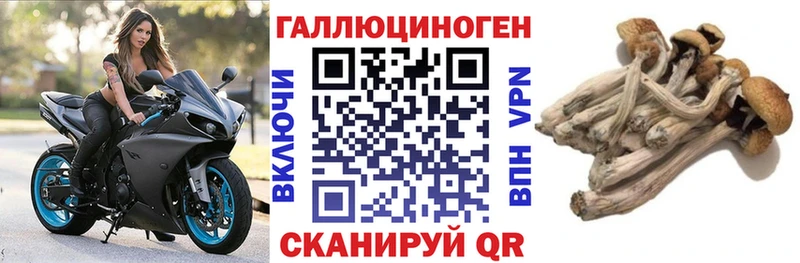 Купить  Агрыз  Псилоцибиновые грибы Magic Shrooms 